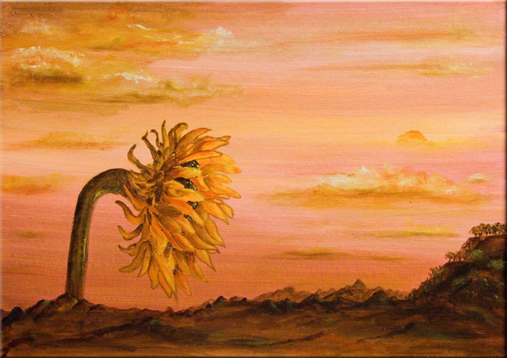 Bowed Sunflower